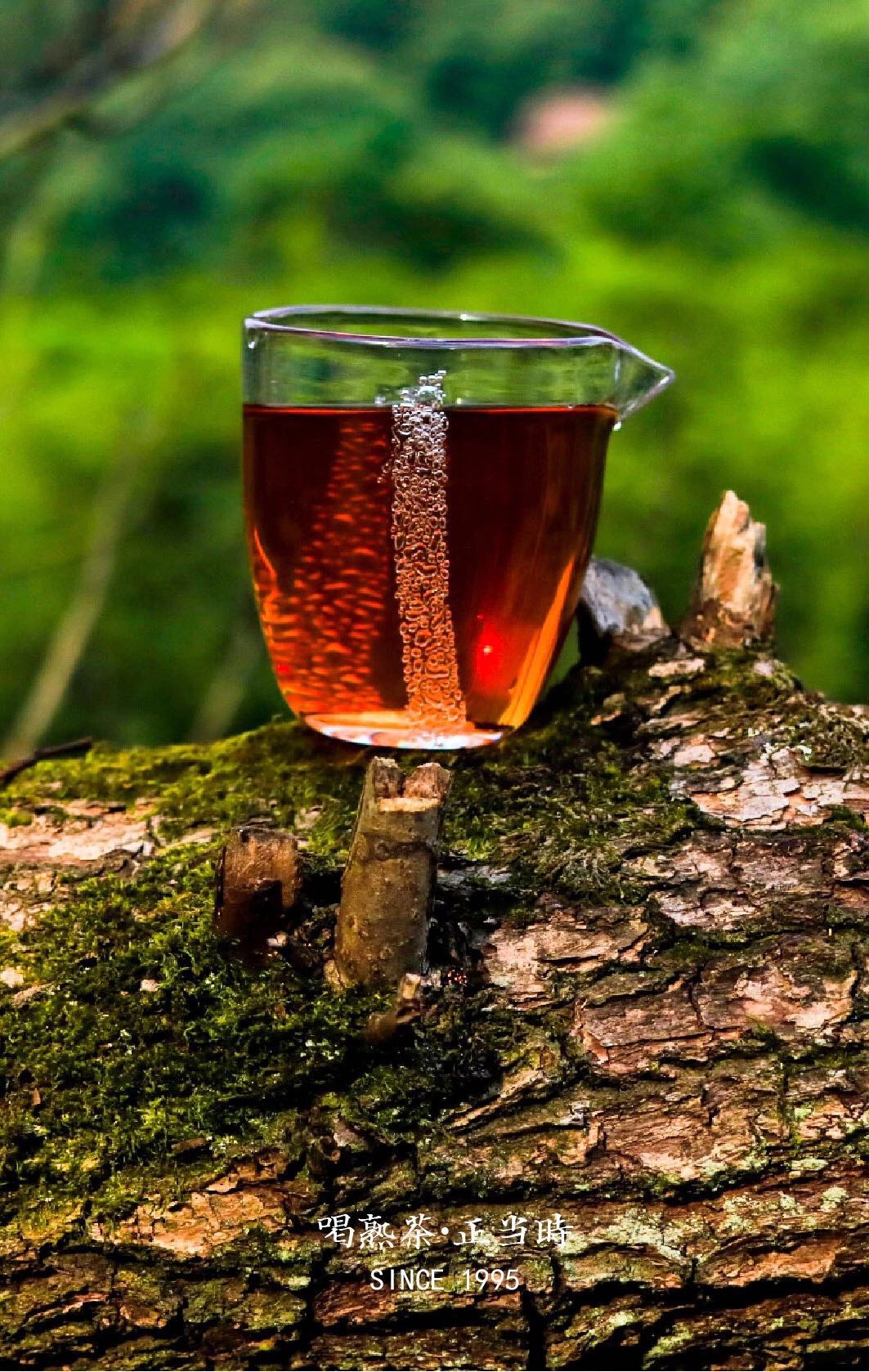 1561376494757488.jpeg WechatIMG410.jpeg