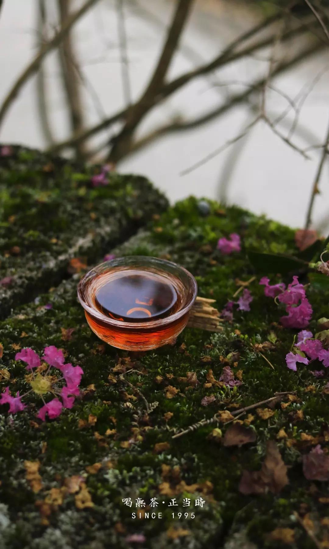 1562857124244979.jpg 1.jpg