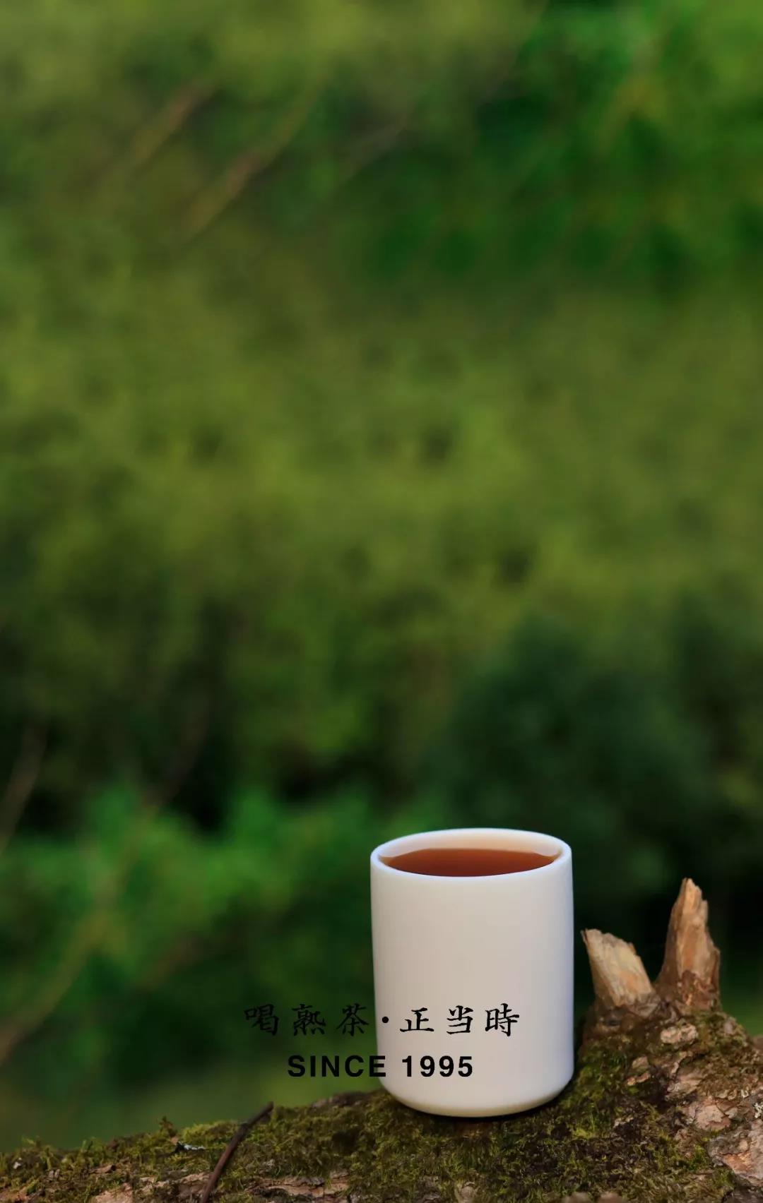 1562859147119477.jpg 1.jpg